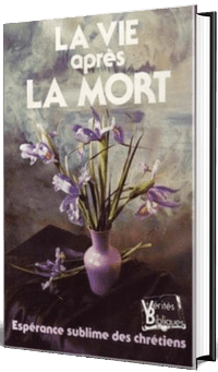 La vie après la mort